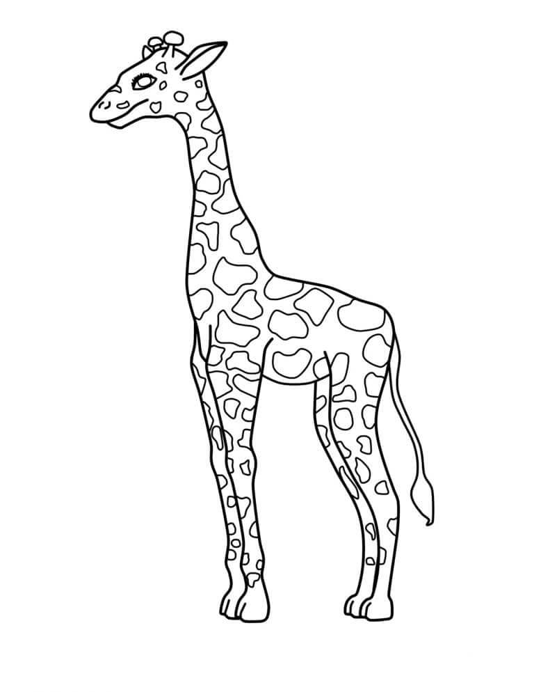 Giraffa Gratis Stampabile da colorare