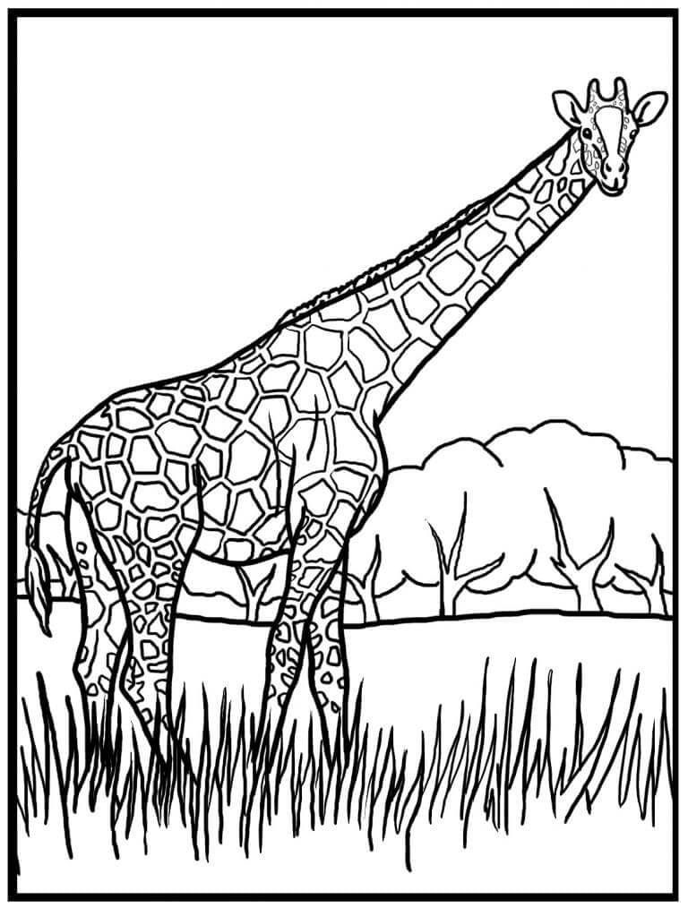 Giraffa Gratis per Bambini da colorare