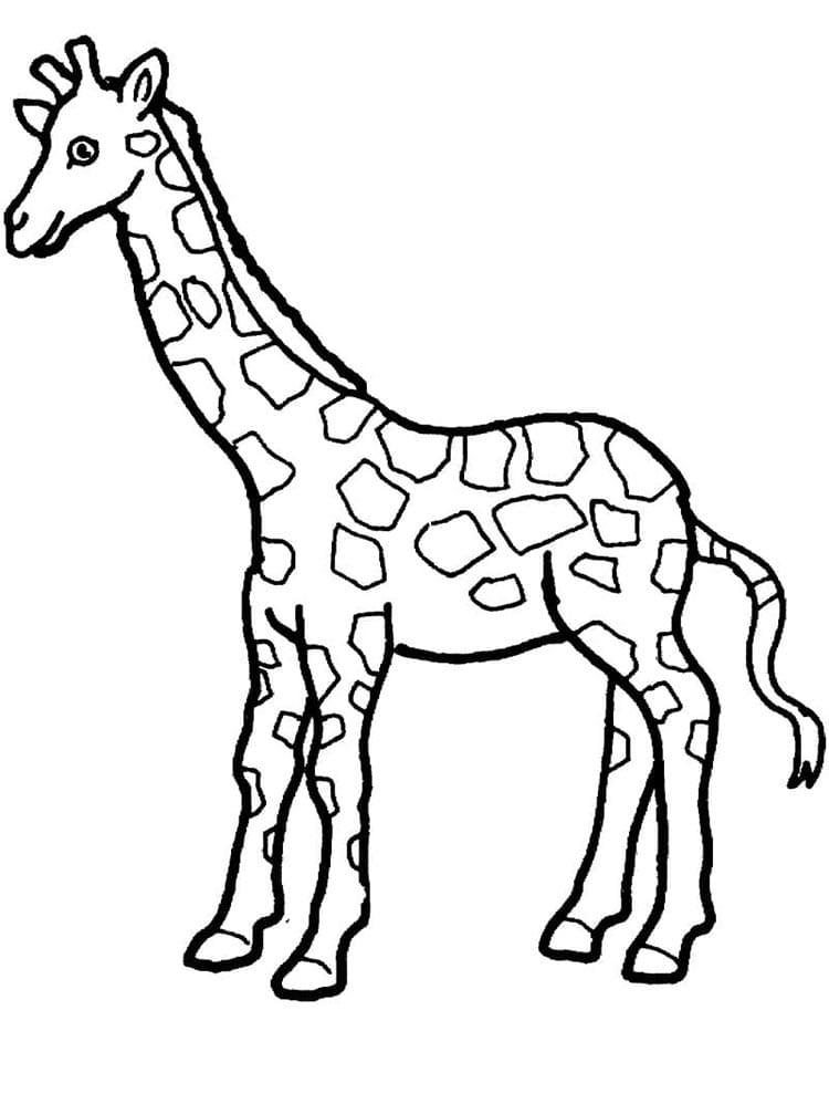 Giraffa Gratuita da colorare