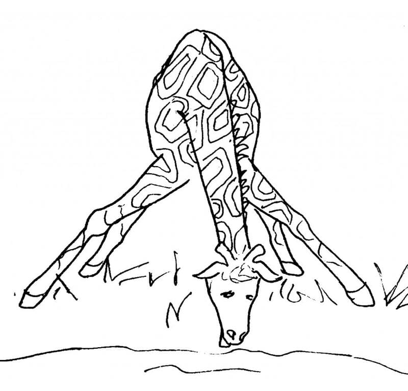 Giraffa Molto Carina da colorare