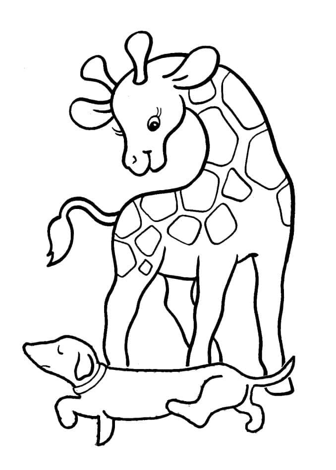 Giraffa Semplice da colorare