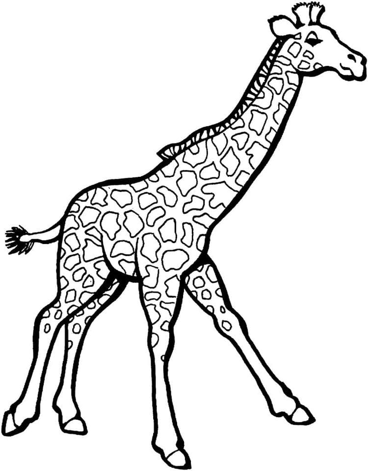 Giraffa Stampabile Gratuita da colorare
