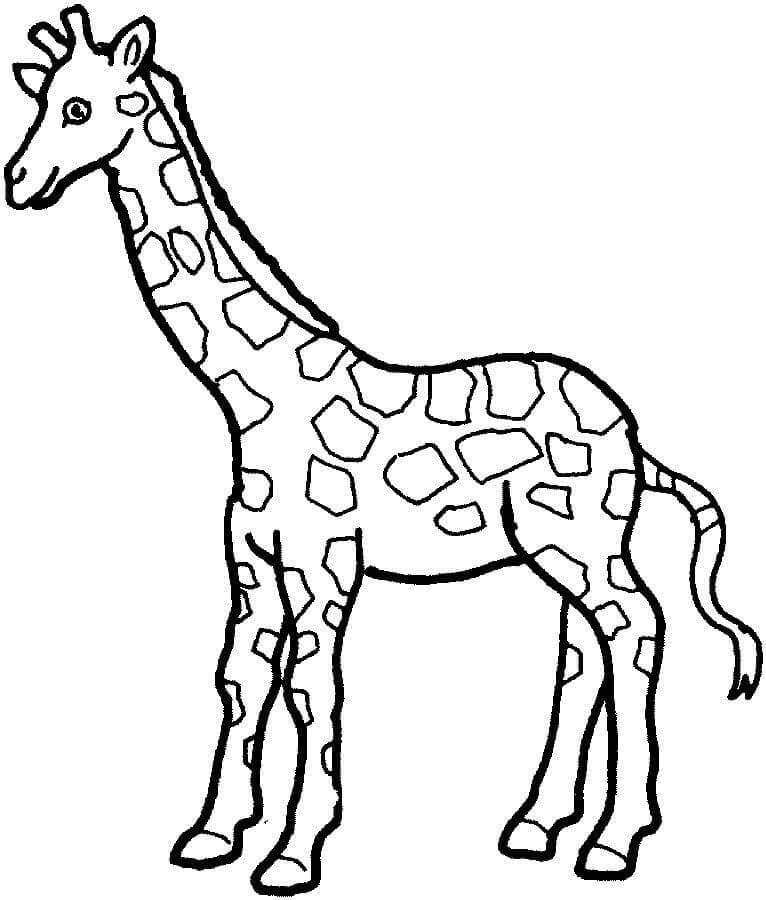 Giraffa Stampabile per Bambini da colorare