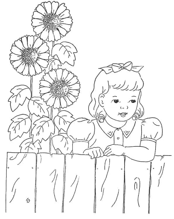 Girasole Libero da colorare