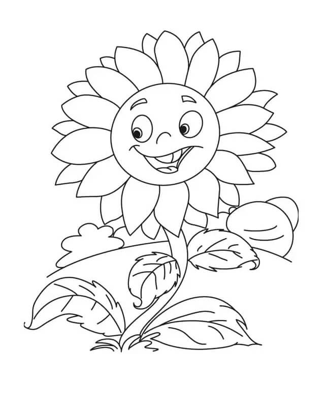 Girasole carino da colorare