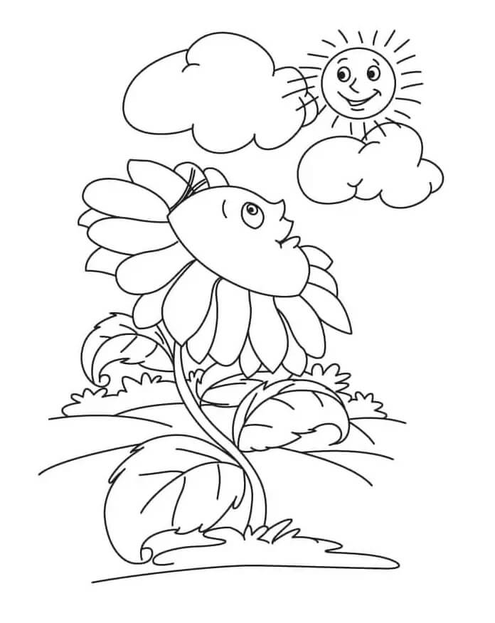 Girasole dei cartoni animati da colorare