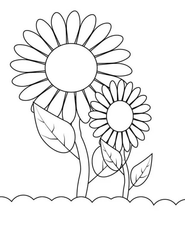 Girasole per Bambini di 3 Anni da colorare