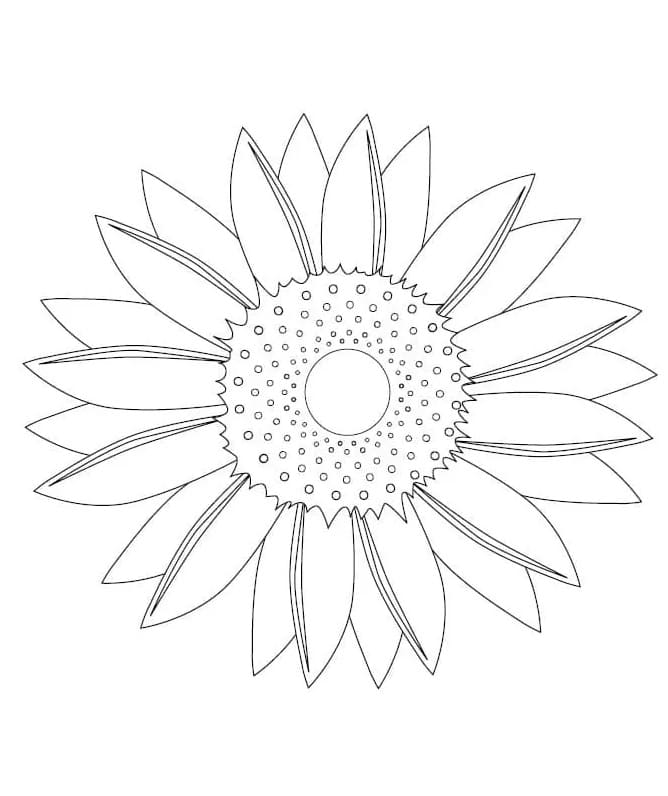 Girasole per Stampare da colorare