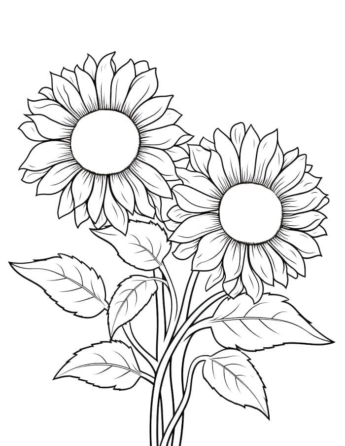 Girasole da colorare