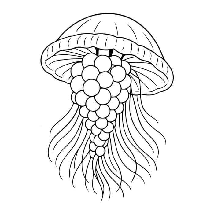 Graipussi Medussi Italian Brainrot da colorare