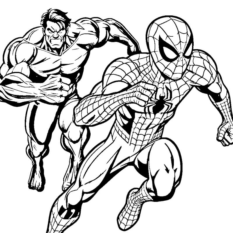 Hulk e Spiderman da colorare