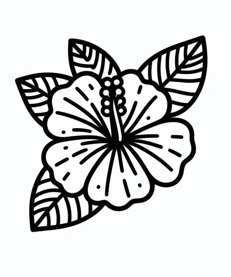 Ibisco Delizioso da colorare