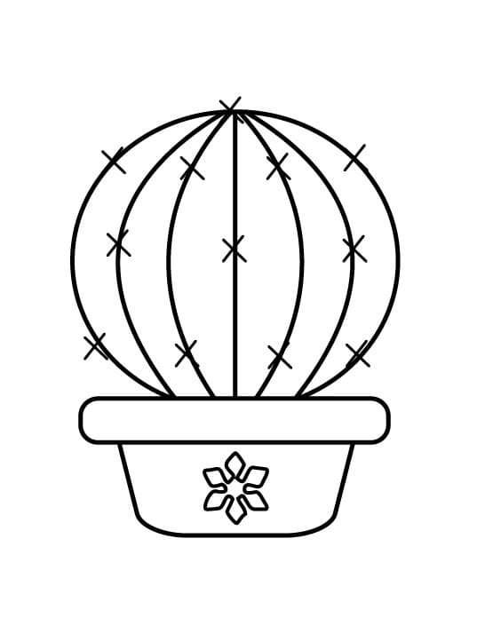 Il Cactus da colorare