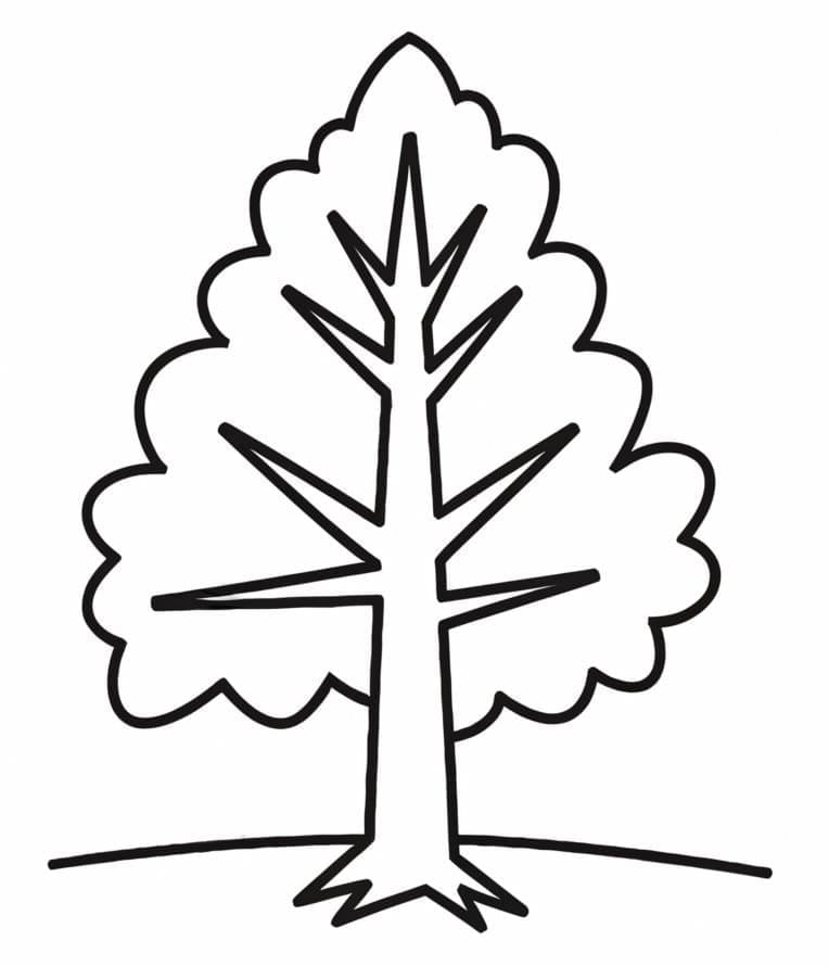 Immagine Albero da colorare