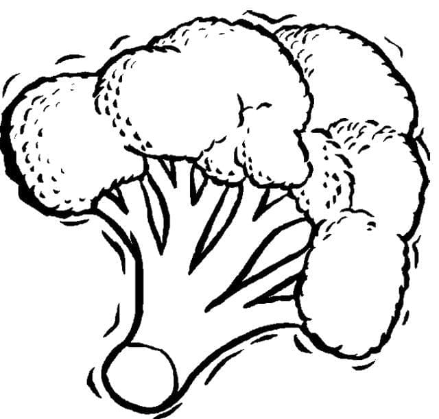 Immagine Broccolo da colorare