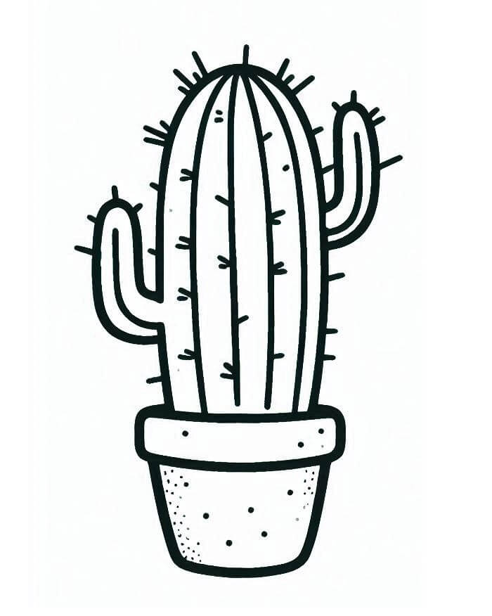 Immagine Cactus da colorare