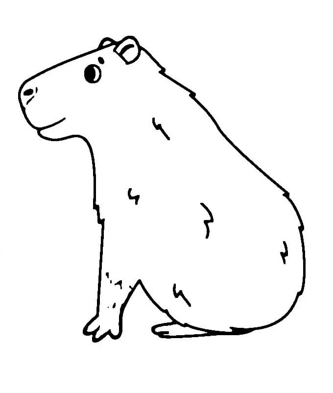 Immagine Capibara Gratuita da colorare