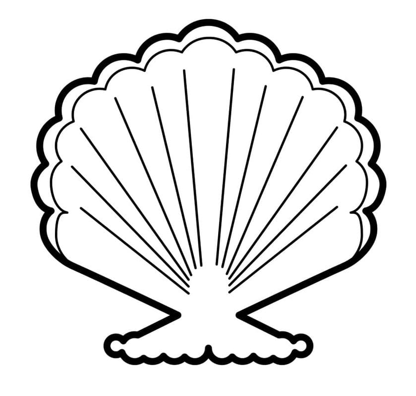 Immagine Conchiglia Stampabile da colorare