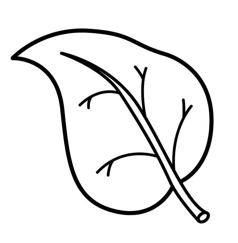 Immagine Foglia Gratuita da colorare