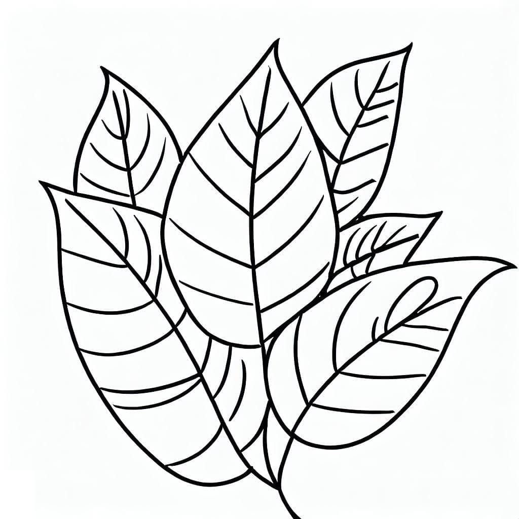 Immagine Foglia Stampabile da colorare
