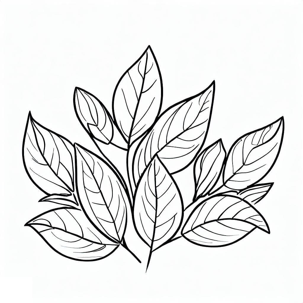 Immagine Foglia da colorare