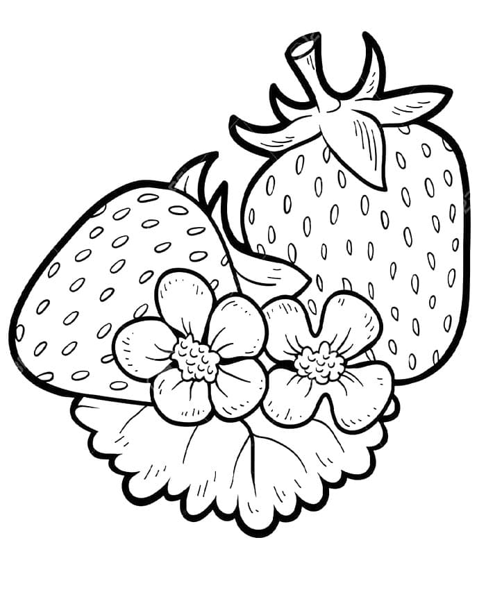 Fragole da colorare