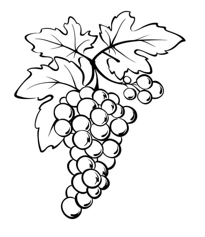 Immagine Frutta Stampabile da colorare