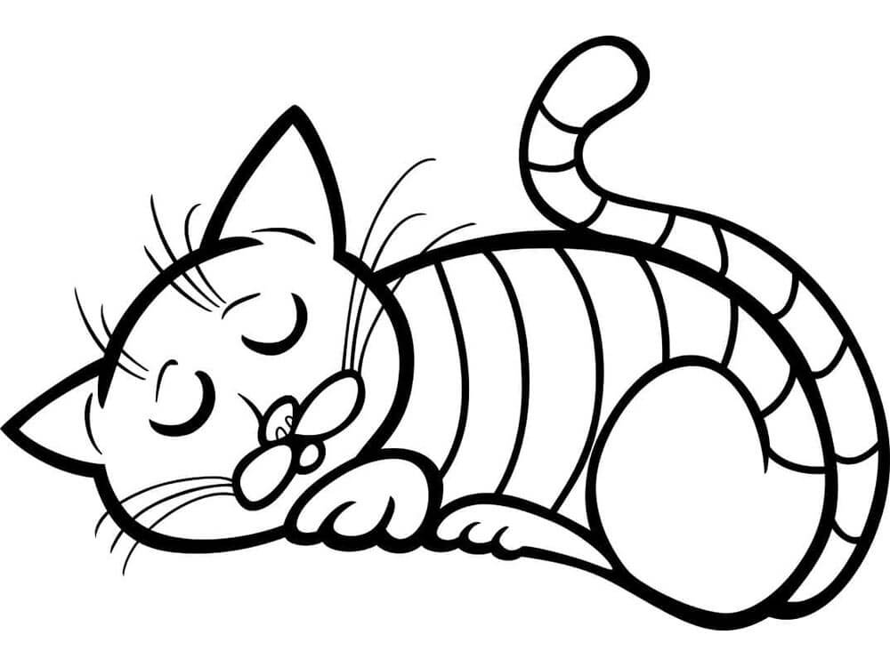 Immagine Gatto Gratuita da colorare
