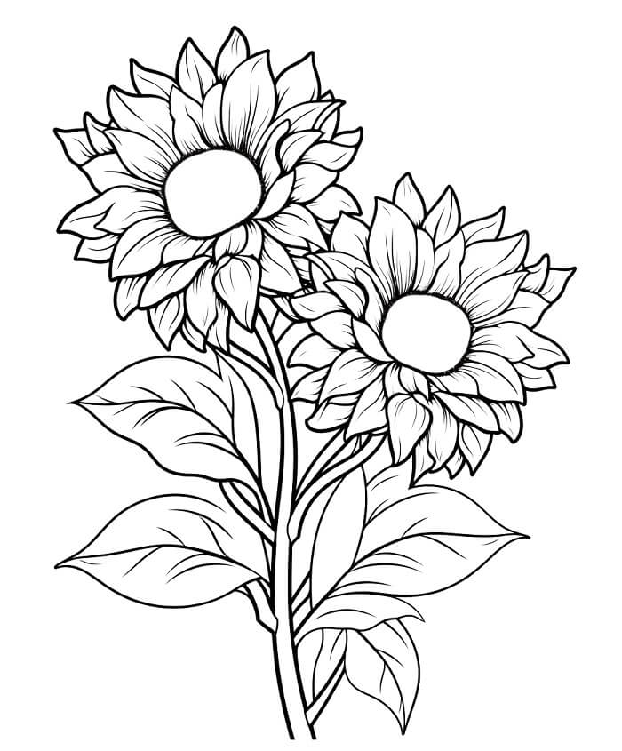 Immagine Girasole Gratuita da colorare