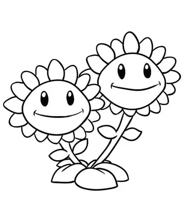 Immagine Girasole da colorare