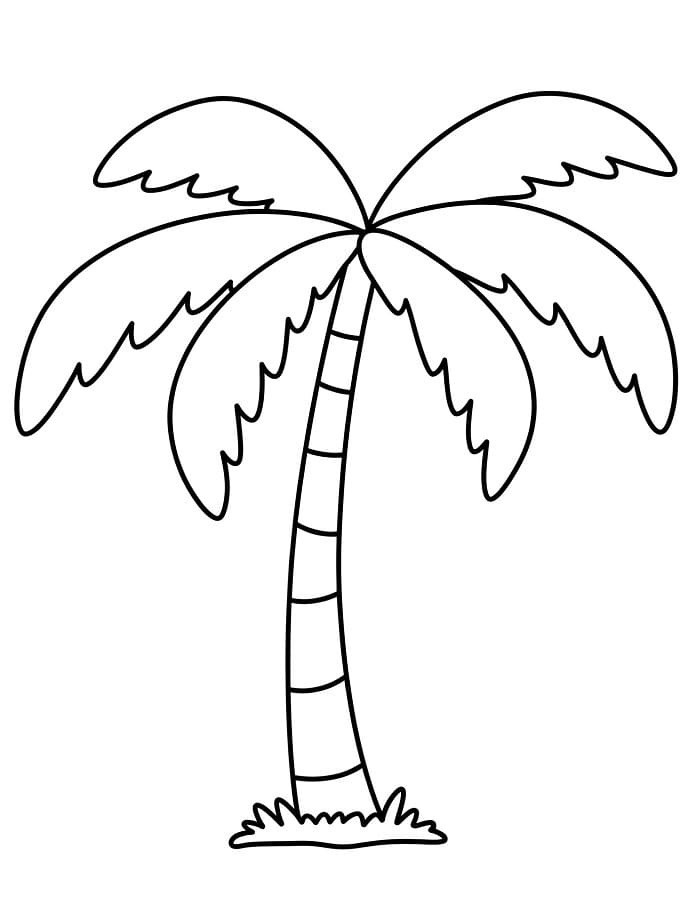 Immagine Palma Stampabile da colorare