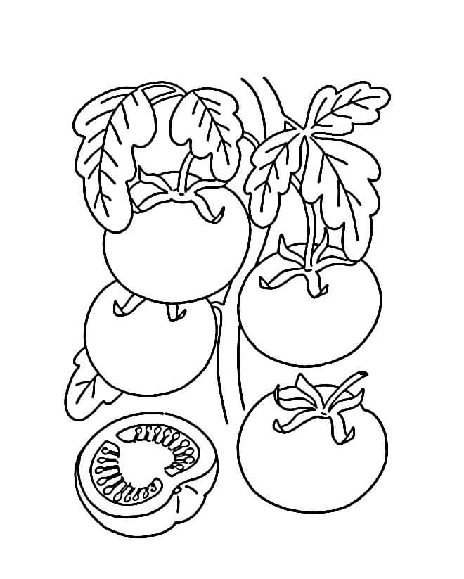Immagine Pomodoro Gratuita da colorare