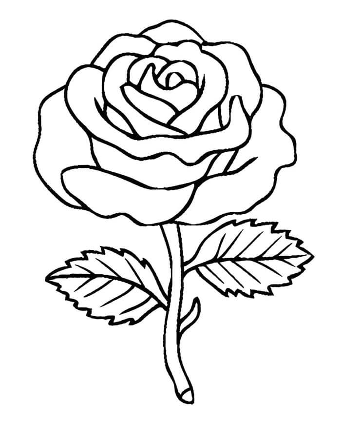 Immagine Rosa Stampabile da colorare