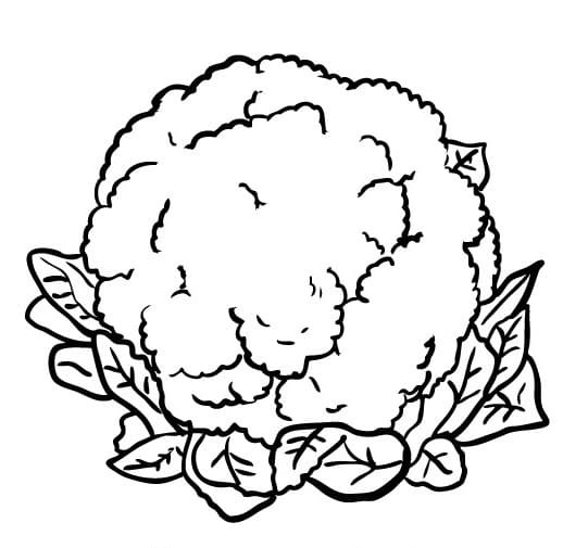 Immagine Stampabile Cavolfiore da colorare