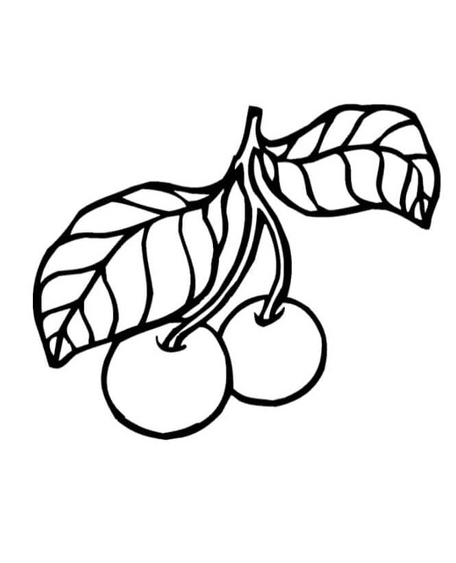 Immagine Stampabile Frutta da colorare