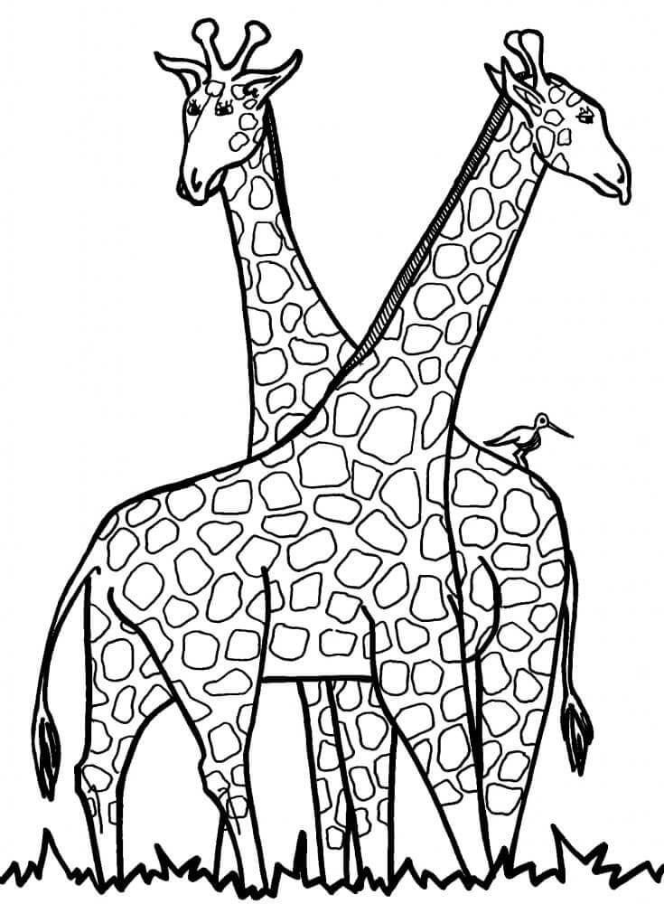 Immagine Stampabile Giraffa da colorare