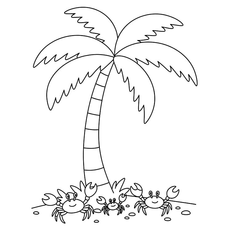 Immagine Stampabile Palma da colorare