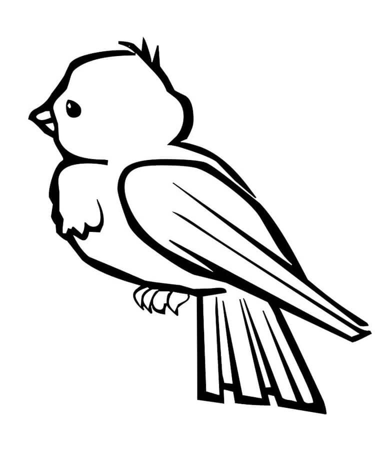 Immagine Stampabile Uccello da colorare