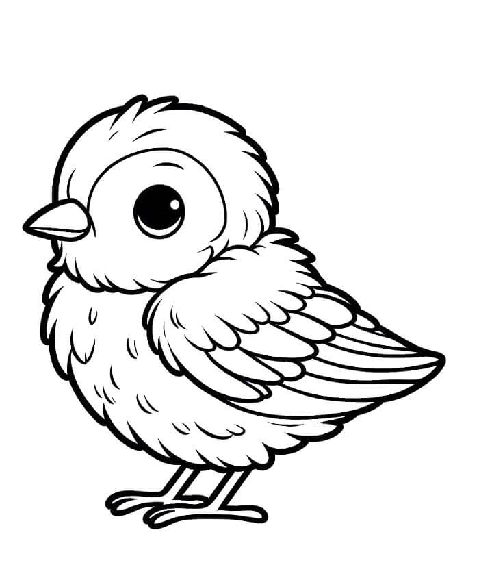 Immagine Uccello Stampabile da colorare