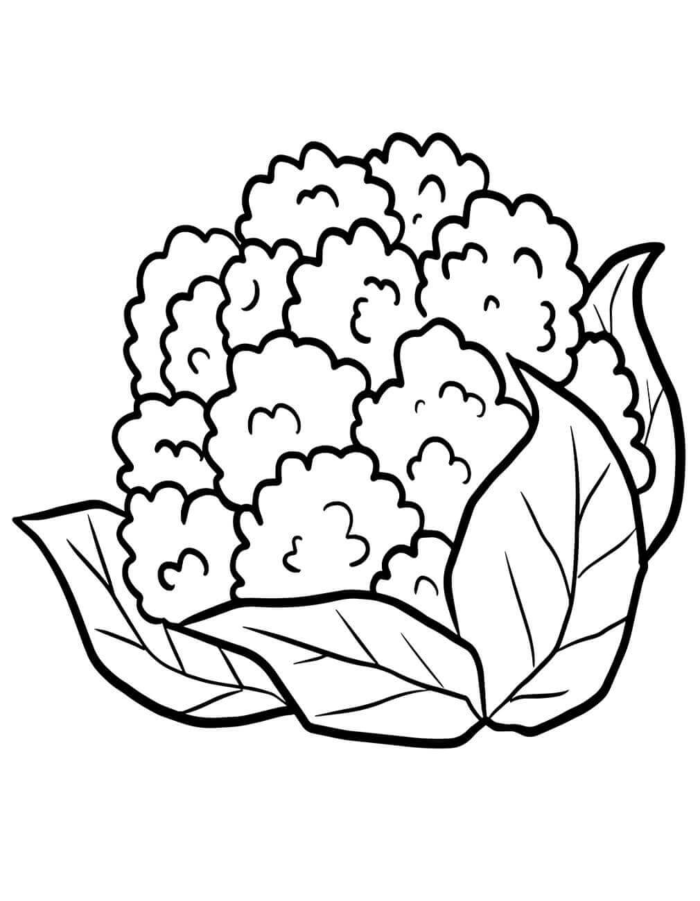 Immagine Verdura Gratuita da colorare