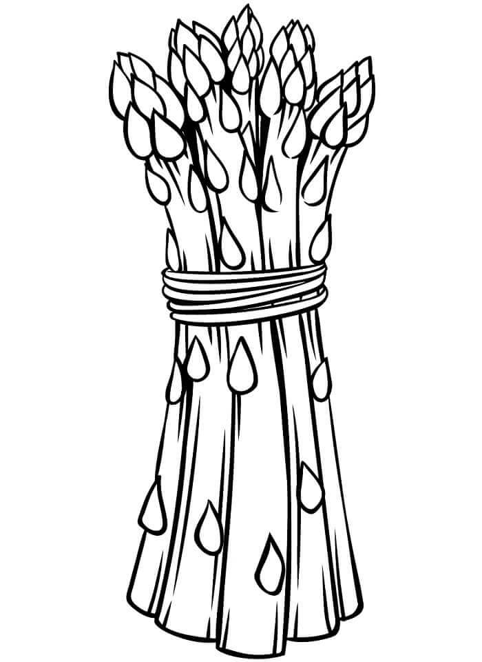 Immagine Verdura Stampabile da colorare