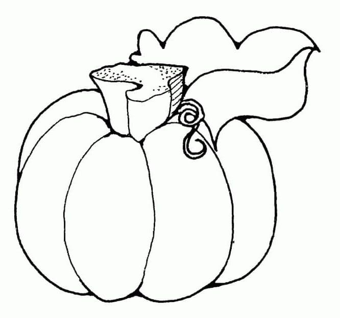 Immagine Zucca Gratuita da colorare