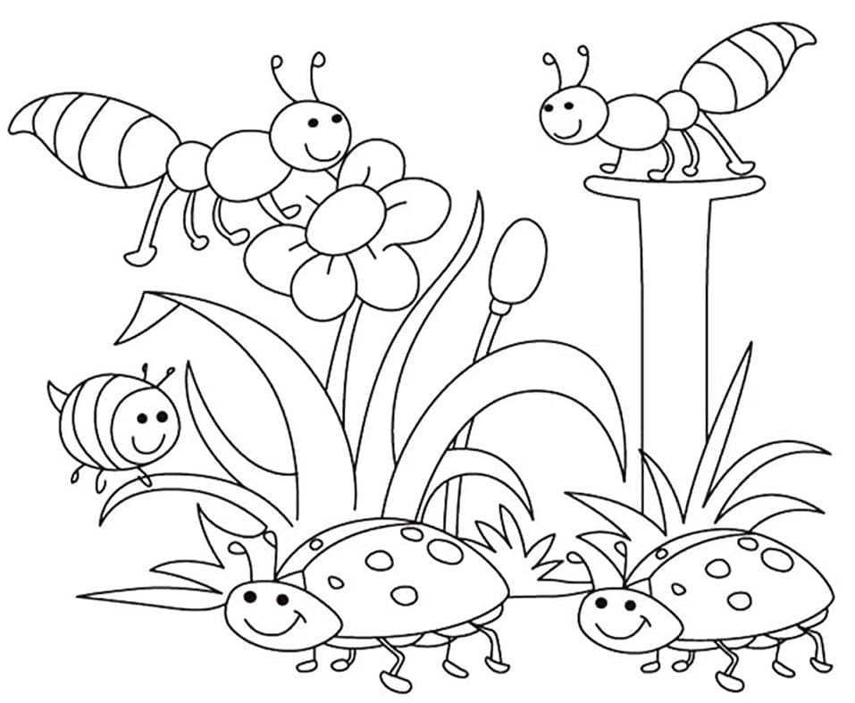 Insetti in primavera da colorare