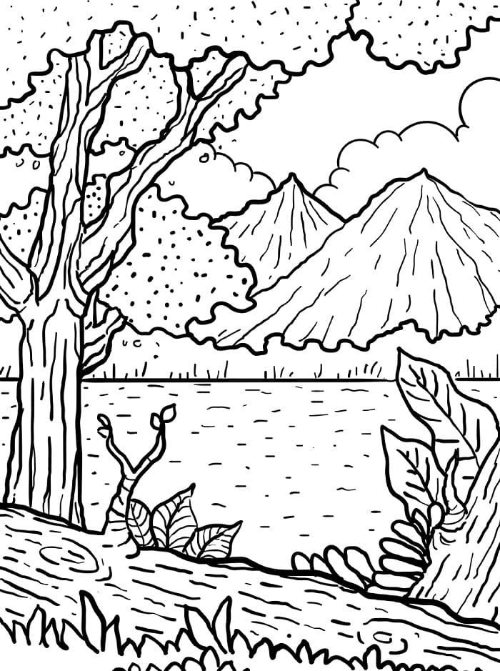 La Foresta da colorare