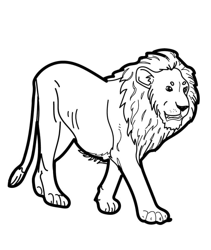 Leone Regolare da colorare