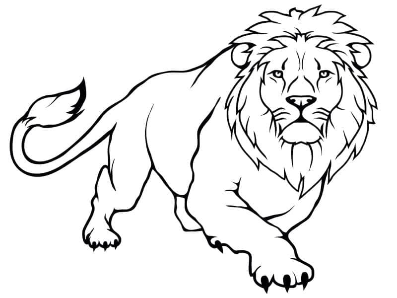 Leone a Cartoni da colorare
