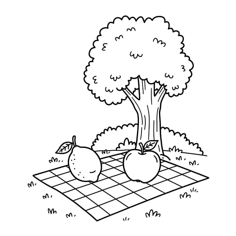 Limone Libero da colorare