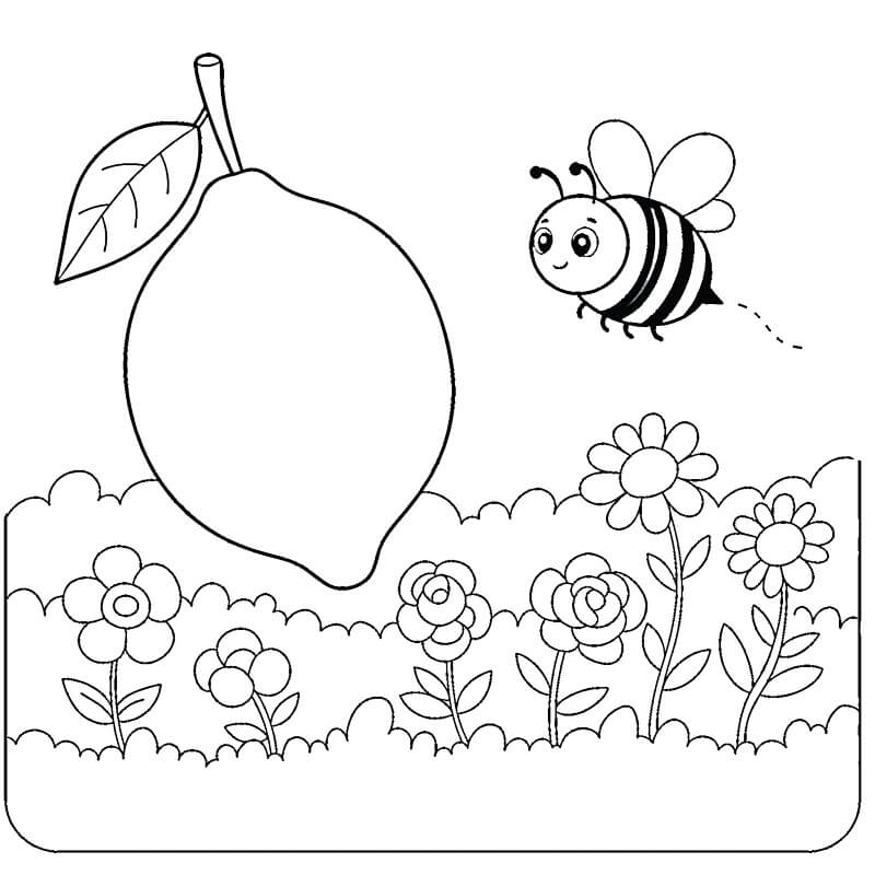 Limone Stampabile Gratuito da colorare