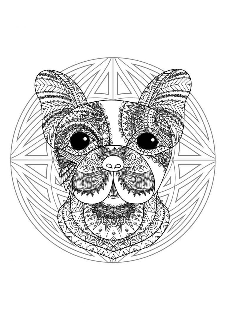 Mandala di Animali Gratis da Stampare da colorare