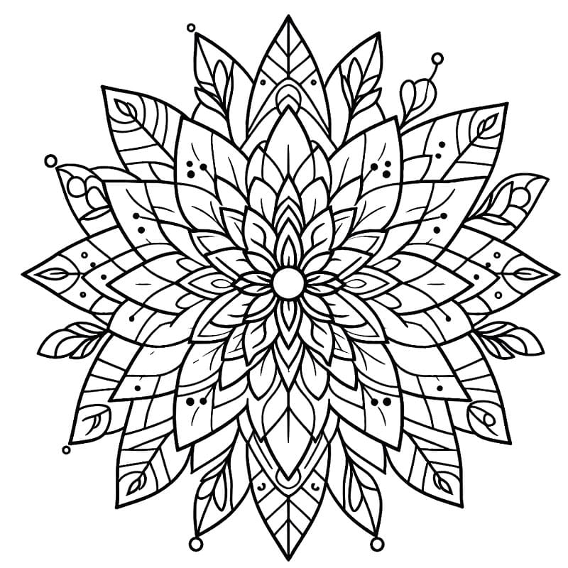 Mandala di Fiori da Colorare da colorare